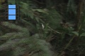Scene 99(33)_HSSFlight